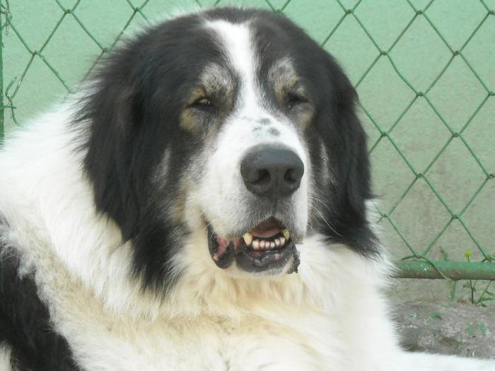 11030697_VJCRKHRQF - Copy