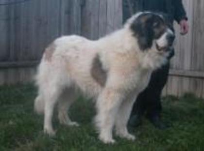 1271957107-b-jar-1270551598