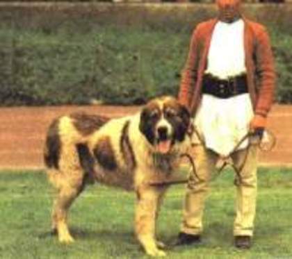 istoric-12[1] - Copy