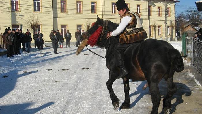 32180371_GYBMGLQFR - cai frumosi