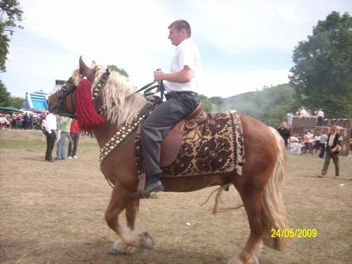 DSMOXEFGNYCVYYCYSWD - cai frumosi