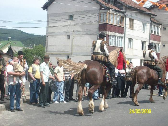 FIYDVNOFJZQMCGDMGVP - cai frumosi