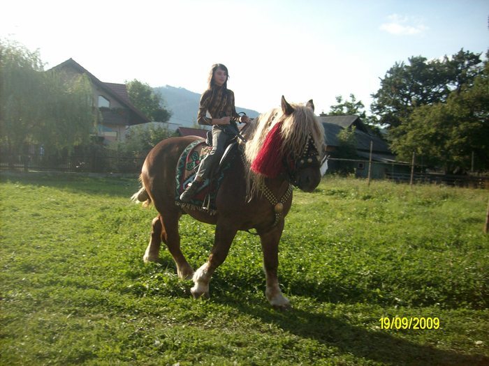 FVGZJKDUEPGFOMXVBDW - cai frumosi