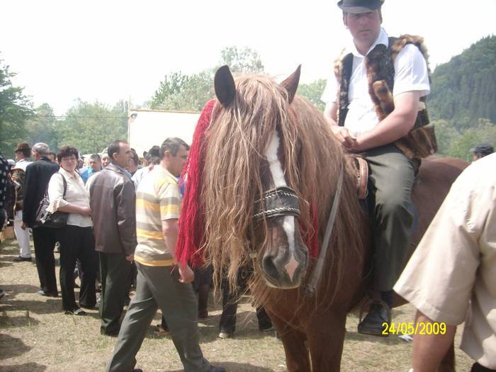 GEJJYVACOZDKKCOYQVN - cai frumosi