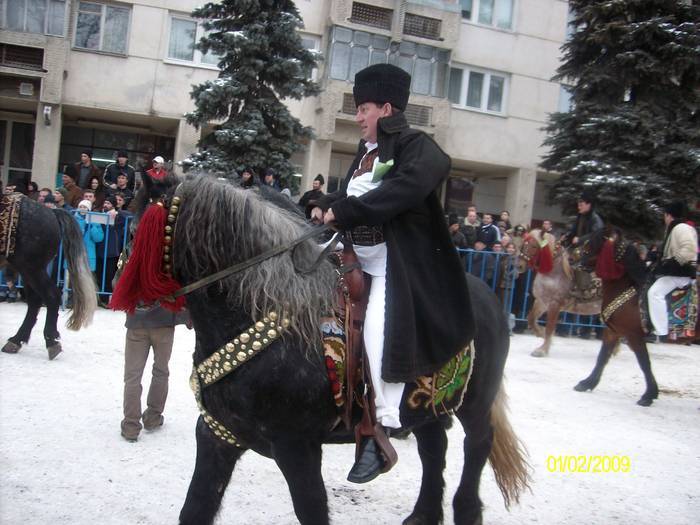 SXVTRFVSNQEAUBIILHN - cai frumosi