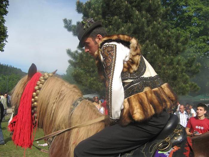 XAPRNOPTFOHWKYVXGHT - cai frumosi