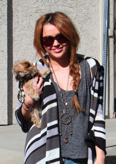 008 - Miley Cyrus Carrying her Yorkshire Shooter in Toluca Lake