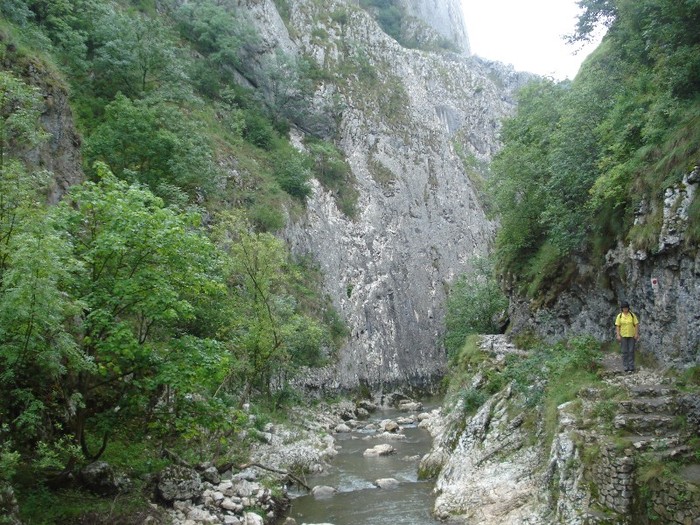 DSC03013