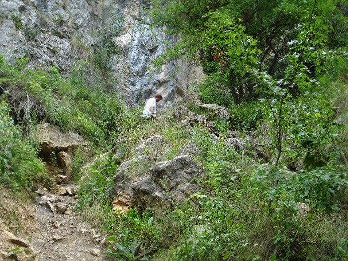 DSC03067