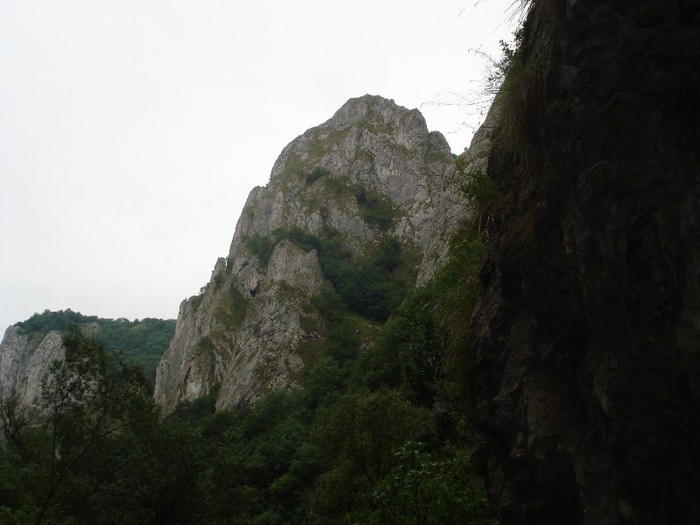 DSC03083