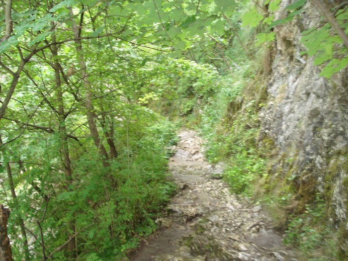 DSC03084