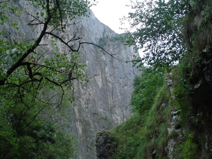 DSC03085