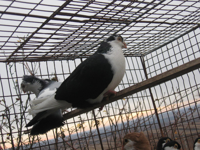 Picture 047