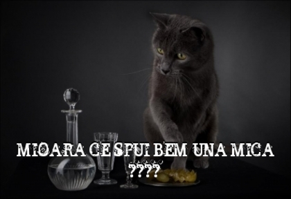 383ff5b42f83a552e6a36b9866af99fe