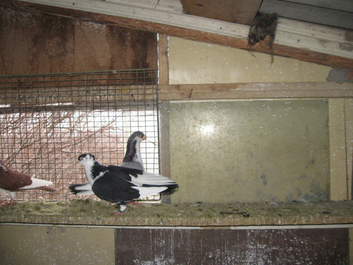 Picture 140