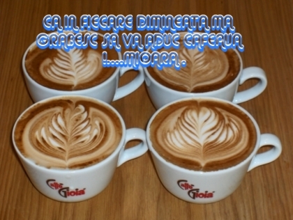 38fb33c6f0e4ea2c626cfd701309fd92