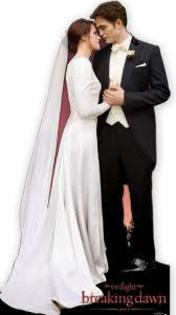 kro - wedding in twilight