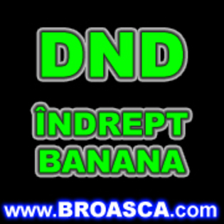 dnd%20indrept%20banana[1]