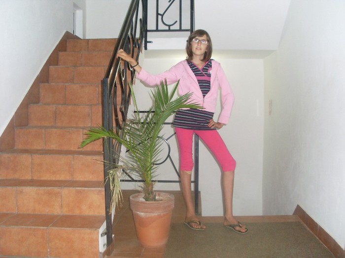 SL372945 - tabara straja
