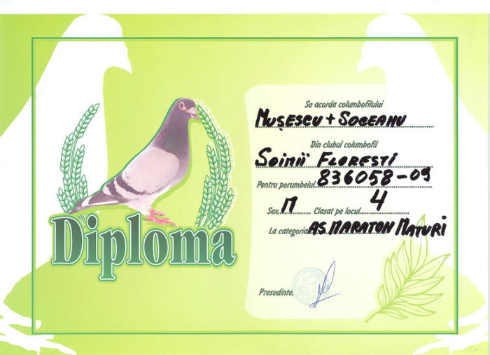 categoria... - Festivitate Soimii Floresti
