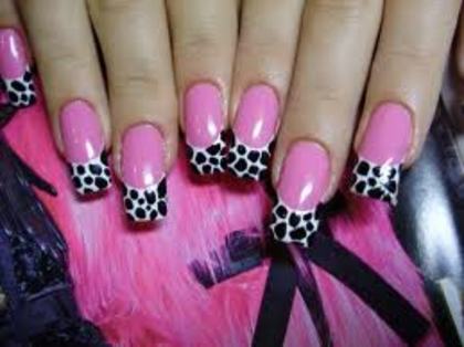 images - poze