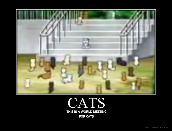 Cats - Hetalia motivationals