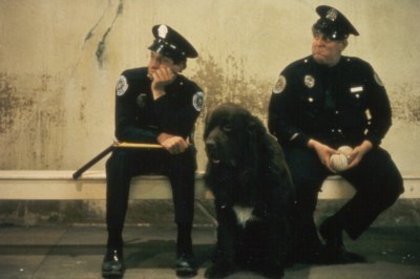 Academia de Politie - Academia de Politie