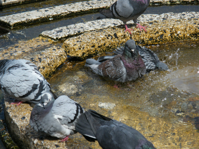 DSCF2863
