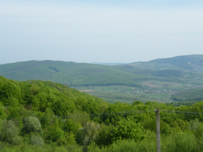 DSCF2949