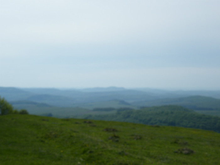 DSCF2953