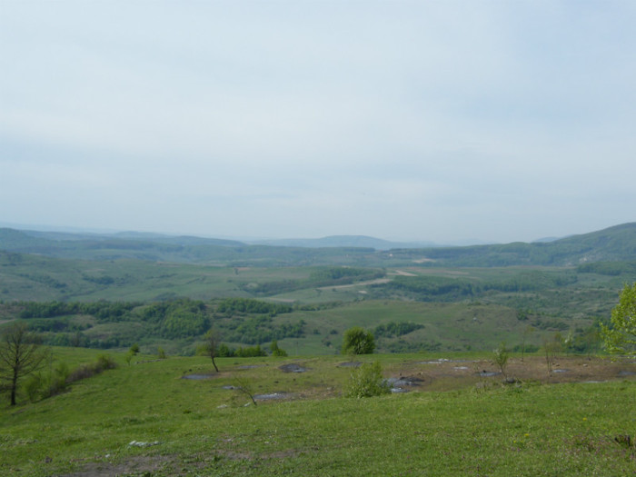 DSCF2956