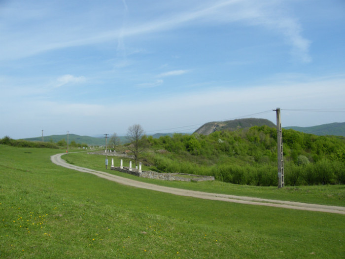 DSCF2959