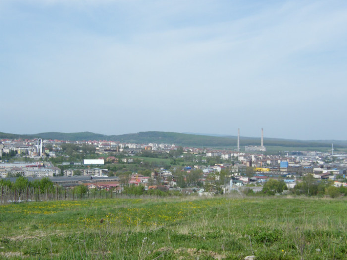 DSCF2962