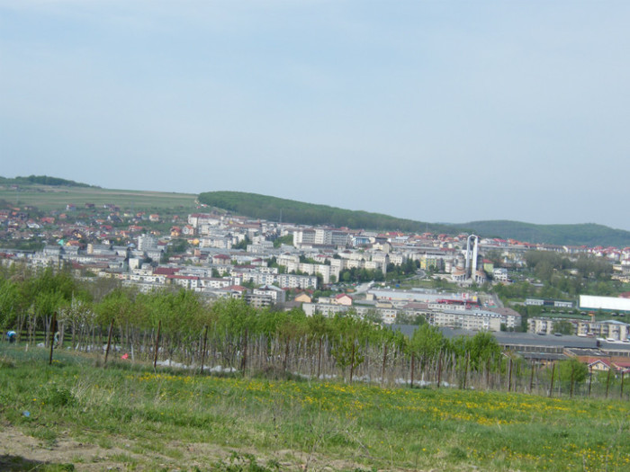 DSCF2965