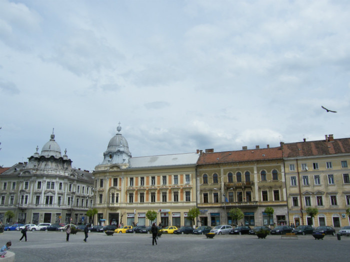 DSCF2993