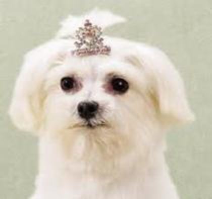 ahh...ce s-a intamplat????ma doare capu!!