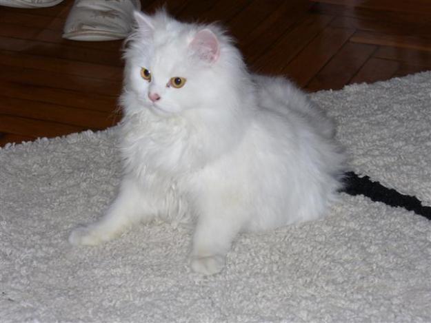 Mereu am idei minunate!