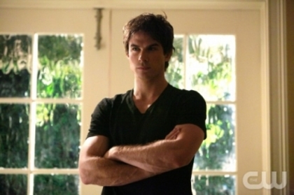 TVD (23)
