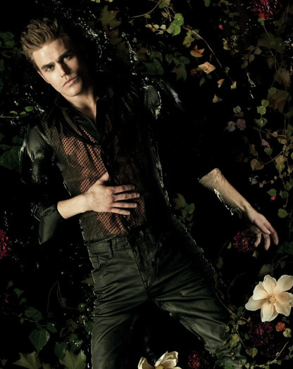 TVD (24)
