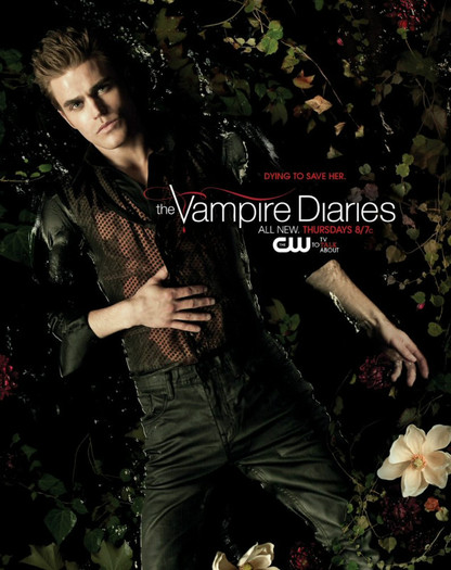 TVD (45)