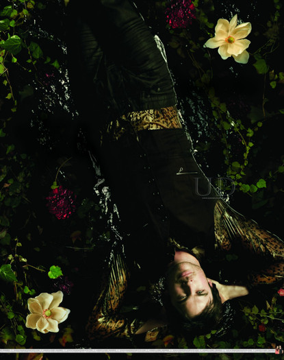 TVD (48)