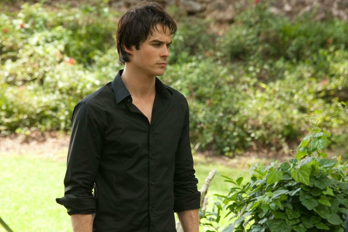TVD (7)