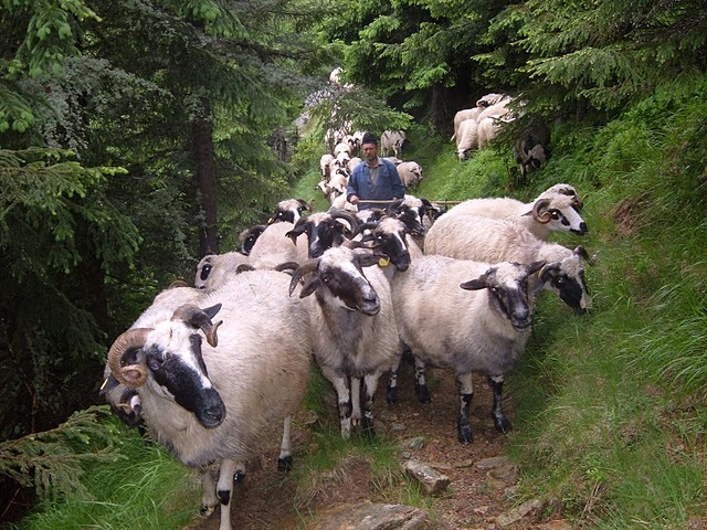 2008_06_Parang 001