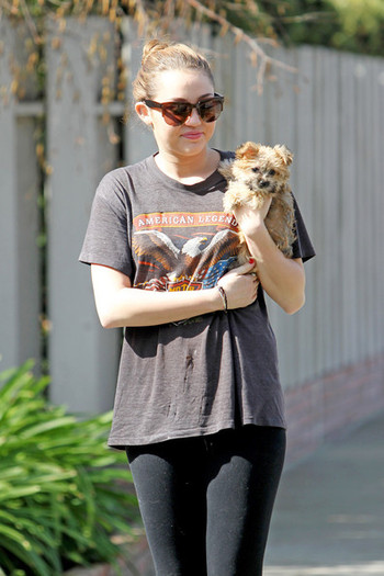 Miley+Cyrus+Miley+Cyrus+Dog+Toluca+Lake+O3pneyJiy7ll