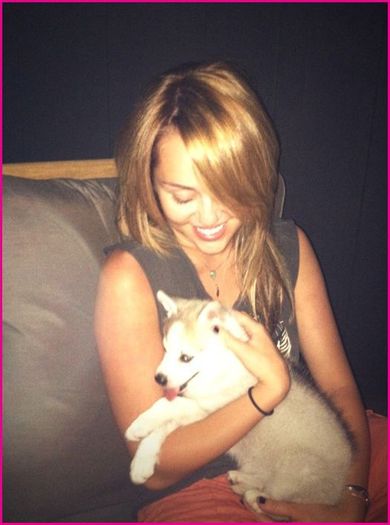 Miley-Cyrus-Dog-Floyd1 - miley-cyrus 1