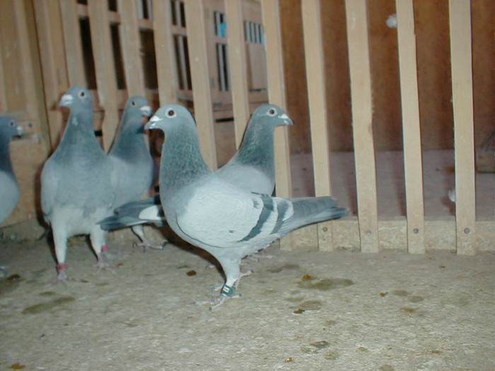 P1010013