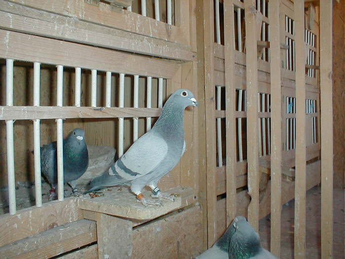 P1010023