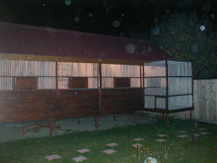 PB060007