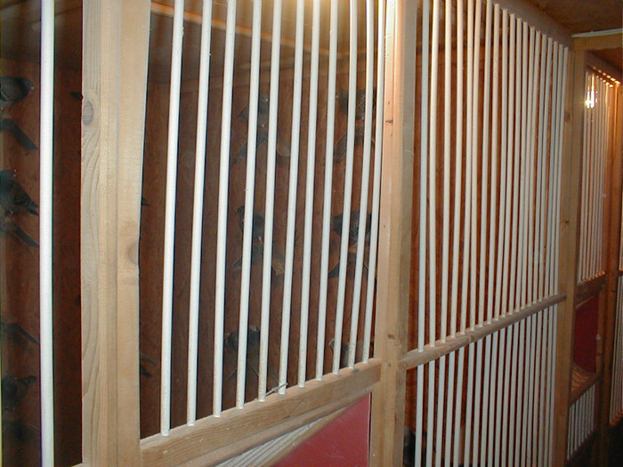 PB060012