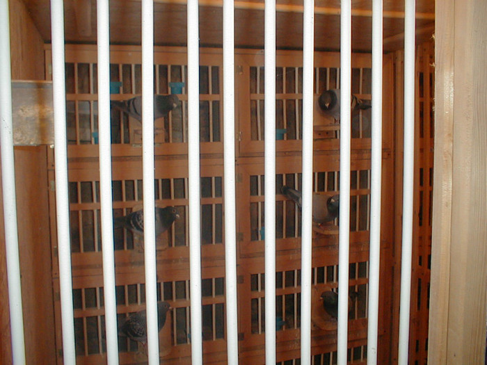 PB060016